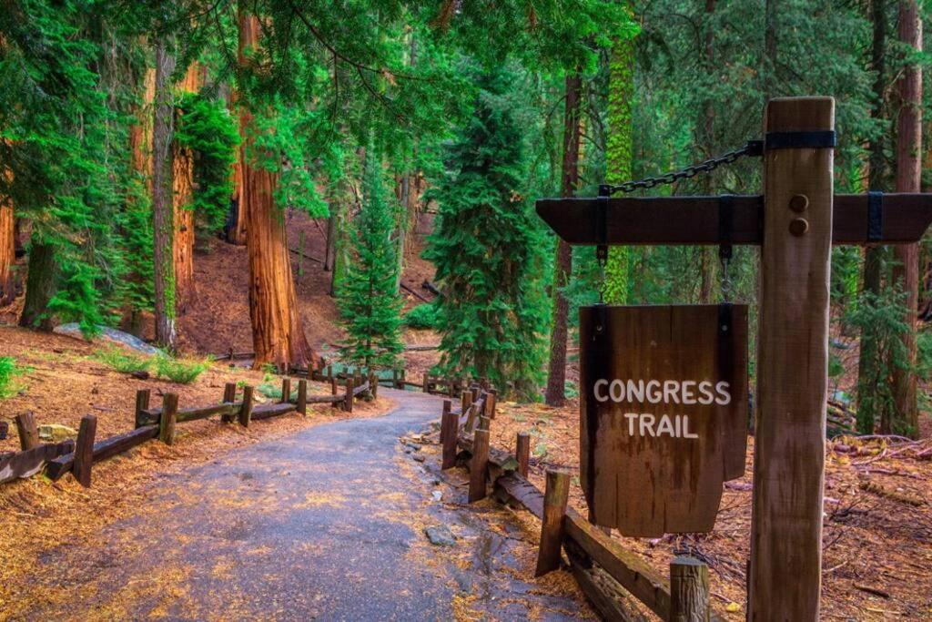 Sequoia Splendor, Inside Kings Canyon Np By Visitors Center Wilsonia Exterior foto